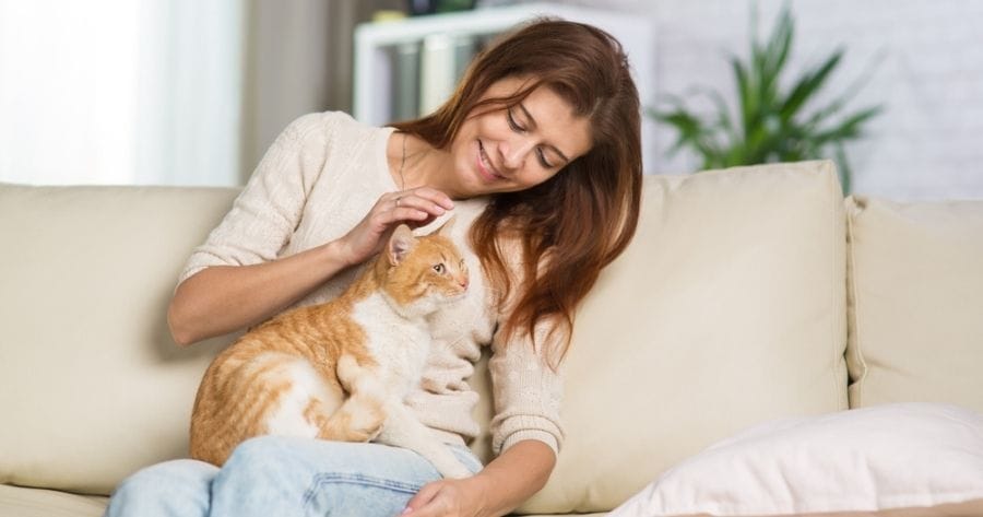 donna accoglie gatto in casa