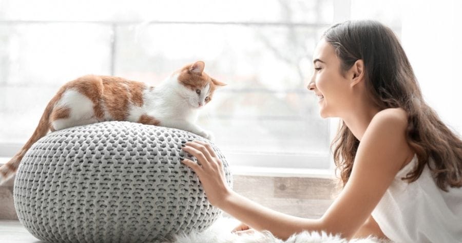 donna gioca con gatto che ospita in casa