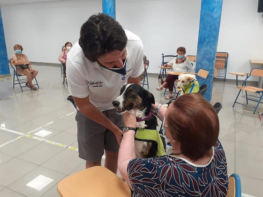 cane in ospedale per terapia assistita con animali