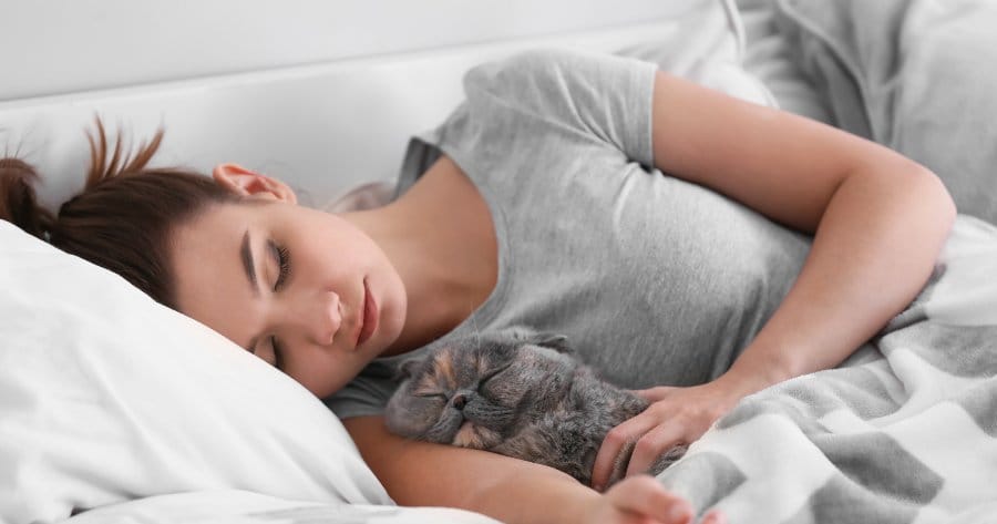 ragazza dorme con gatto che ha pulci